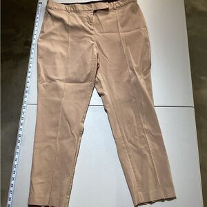 Lane Bryant Tan W Pants